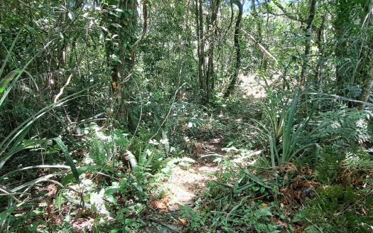 Casa – Ilha do Mel